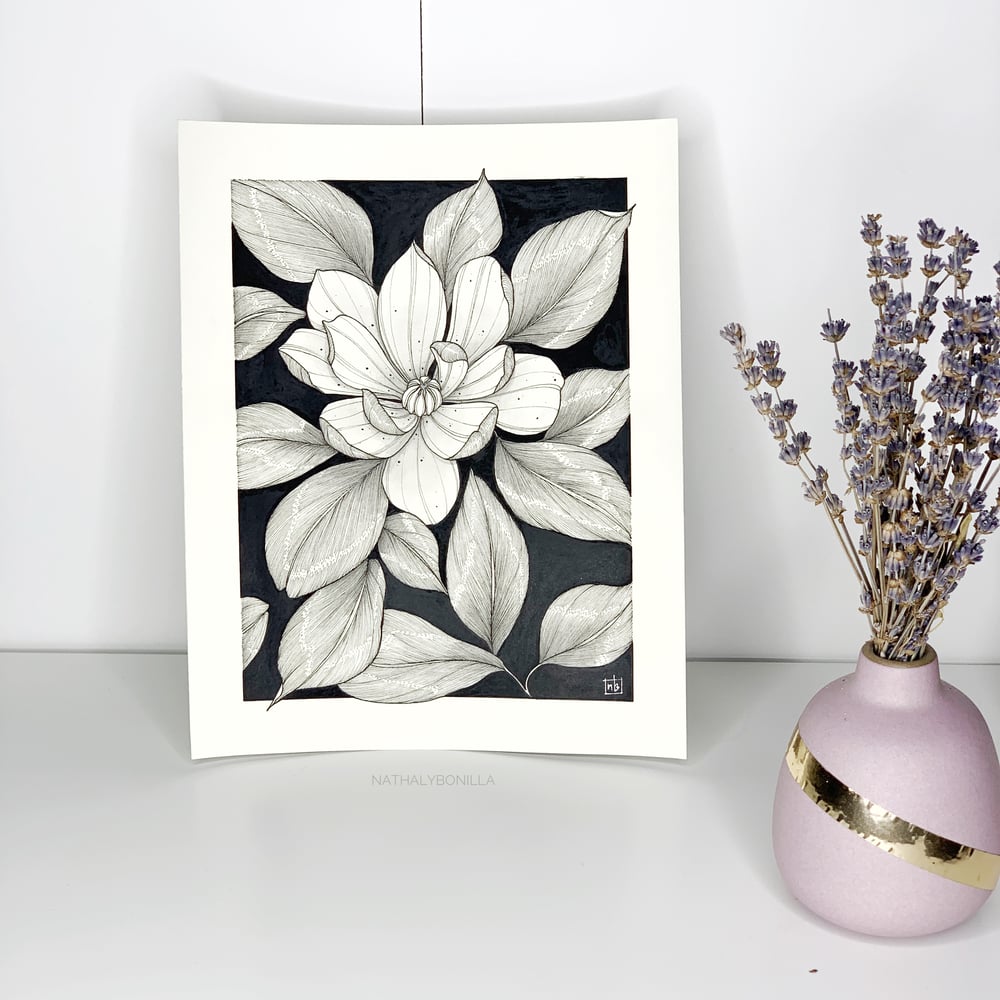 Image of Magnolias in the Dark
