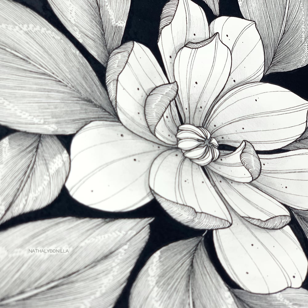Image of Magnolias in the Dark