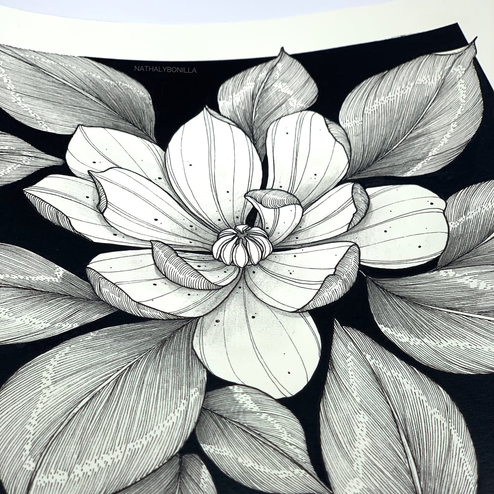 Image of Magnolias in the Dark