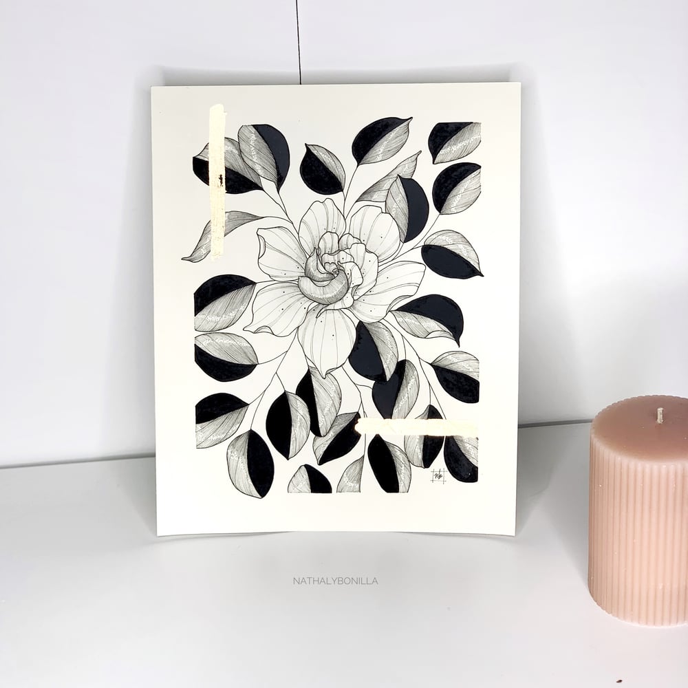 Image of Gardenia Leafs
