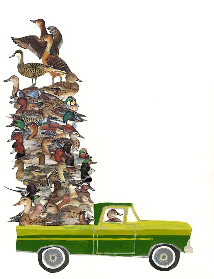 Image of Duck Truck. Limited edition collage print.