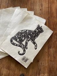 Image 2 of Ornate Cat