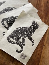 Image 3 of Ornate Cat