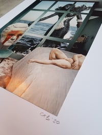 Image 5 of 'Ever Present'