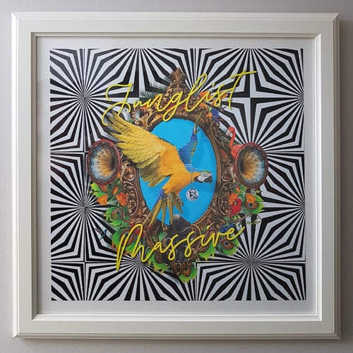 Image of Junglist Massive Parrot