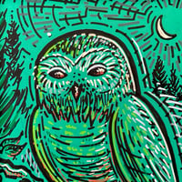 Image 3 of Owlll