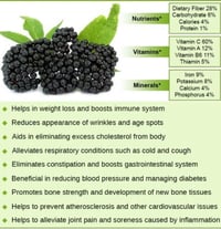 Image 3 of Organic Elderberries 