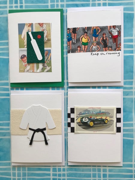 Image of Cricket/Running/Martial Arts/Motor Racing