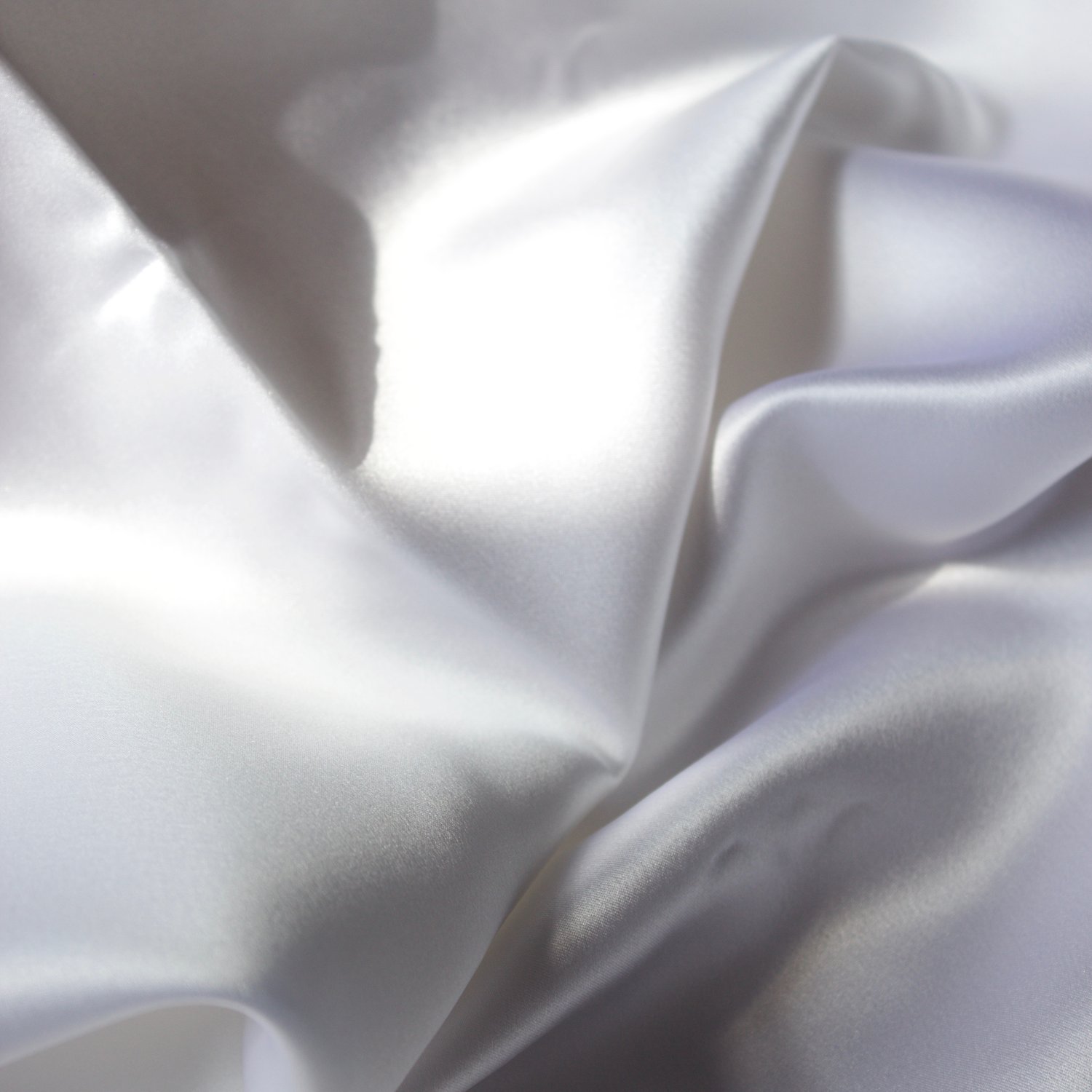 Image of Arctic White