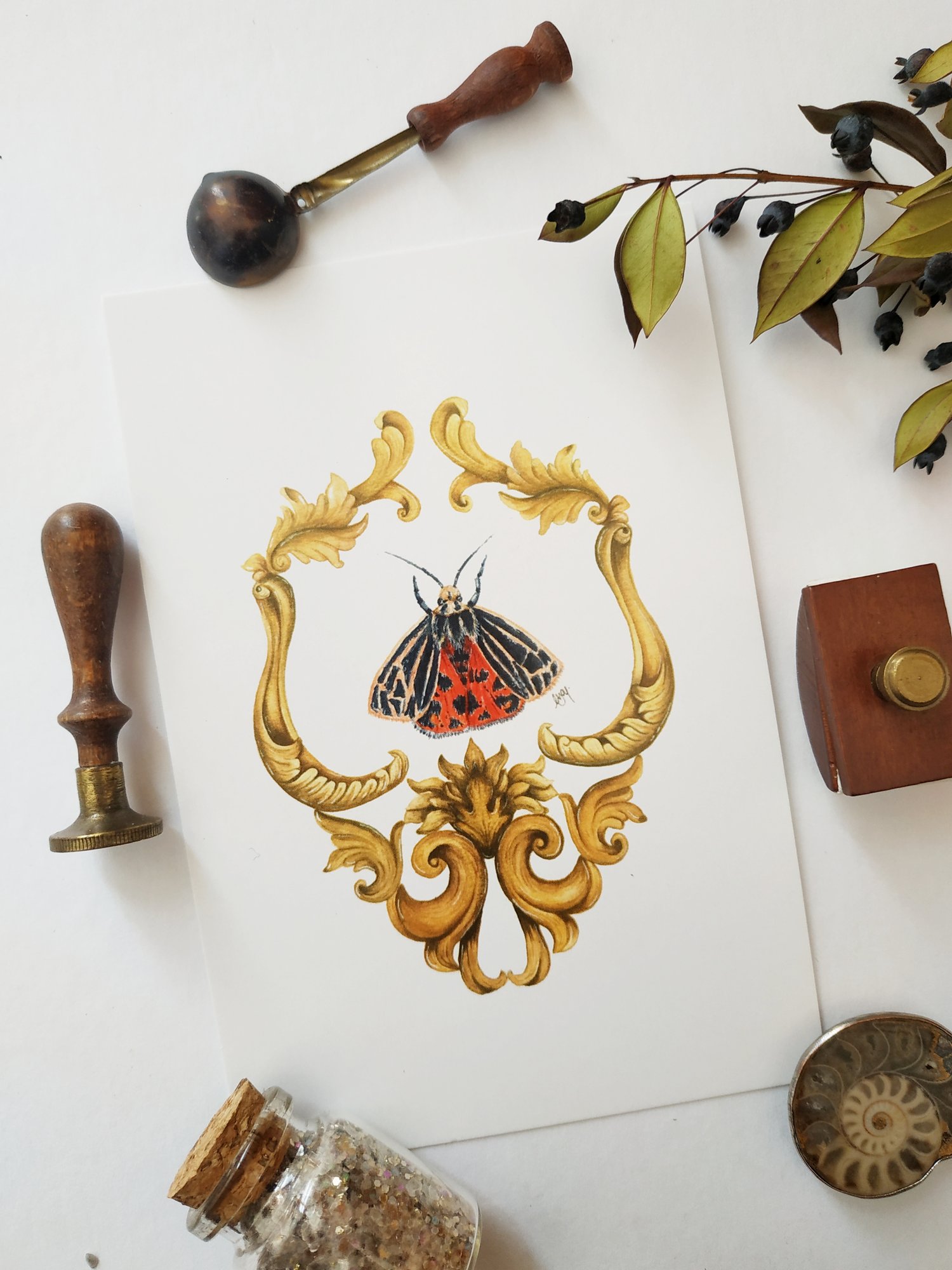 Image of Framed Insects Postcard Set