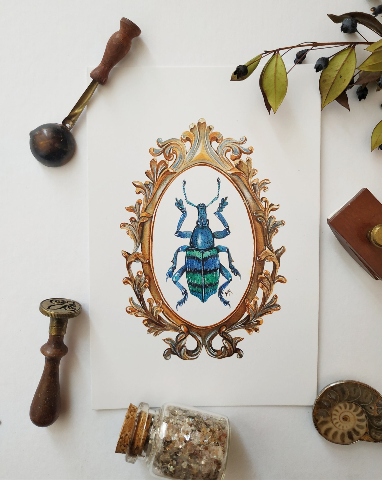 Image of Framed Insects Postcard Set