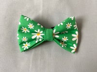 Image 2 of Spring Daisies Bow Ties /Sailor Bows