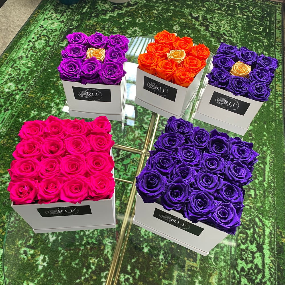 Infinite Rose Collection