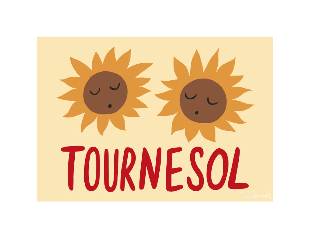 Image of TOURNESOL