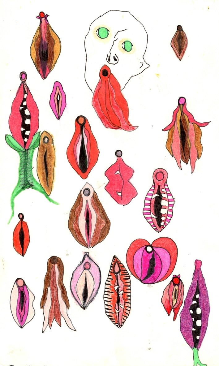 Assorted Vaginas