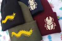 Image 1 of Bug Beanies *looking for new source