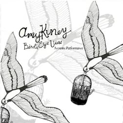 Image of Bird's Eye View Acoustic DVD