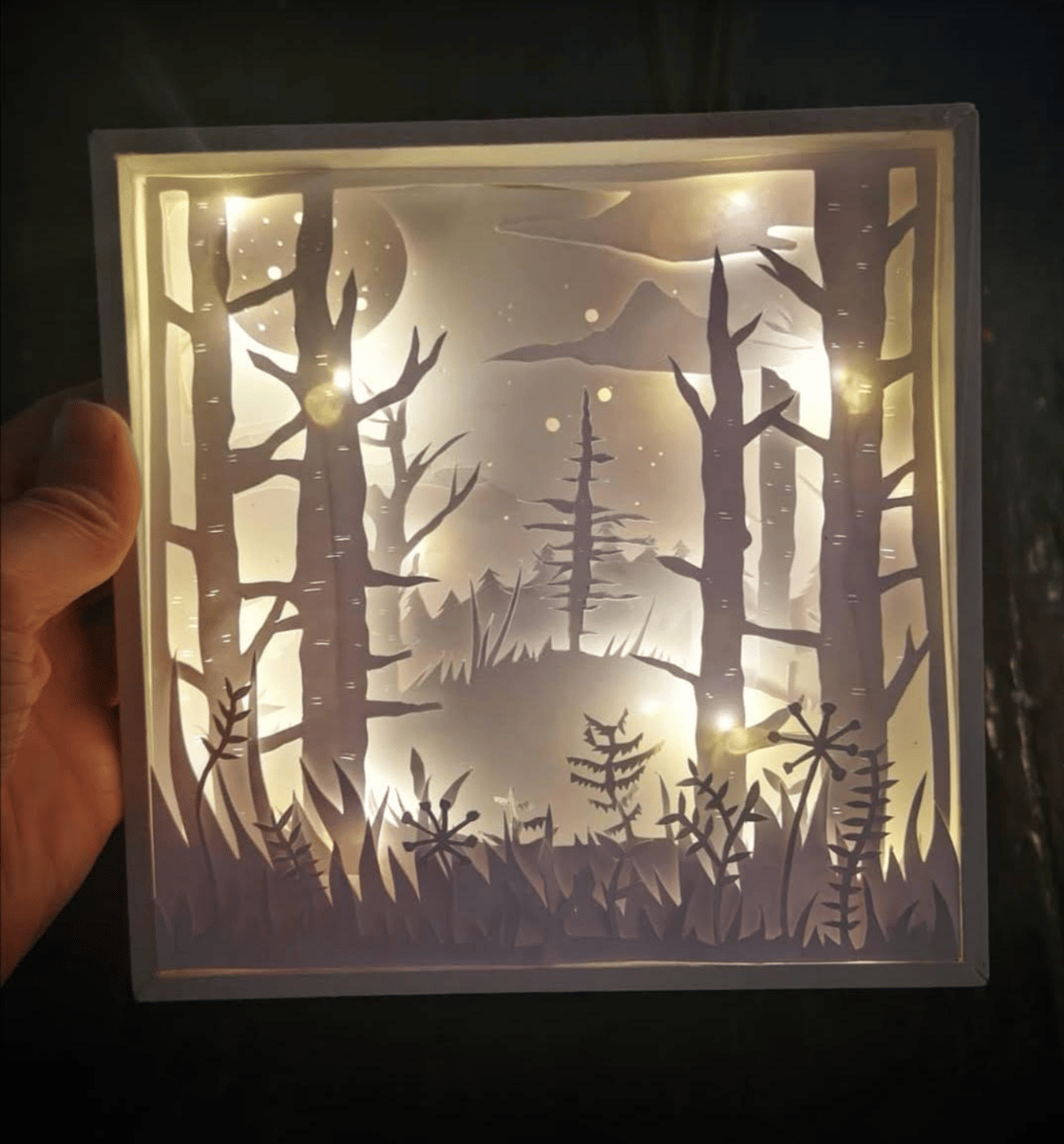 Image of CUSTOM LIGHT BOX