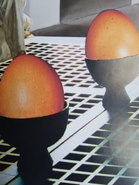 Image 3 of 'Breakfast of champions'