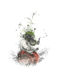 Image 1 of The Entomologist - Print