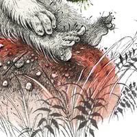 Image 3 of The Entomologist - Print