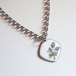 Image of BOTÀNICA (penjoll quadrat)