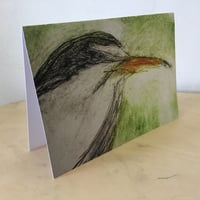 Image 2 of Little Tern Cards - 5 card pack