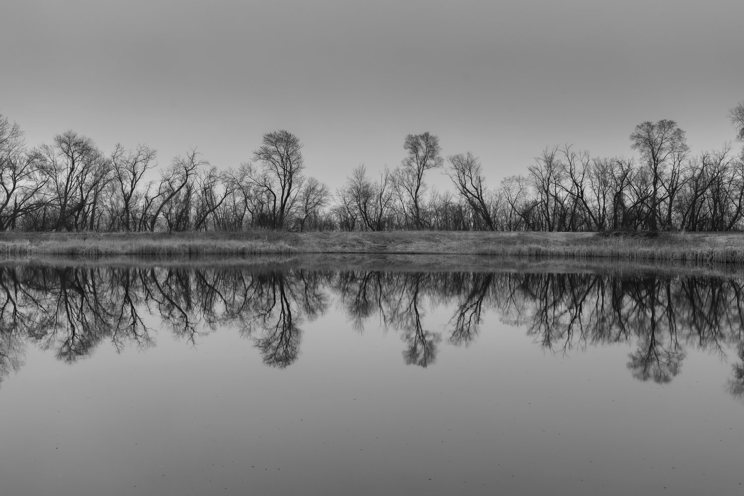 Bass Pond