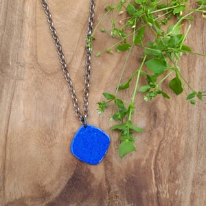 Image of BOTÀNICA (penjoll quadrat)