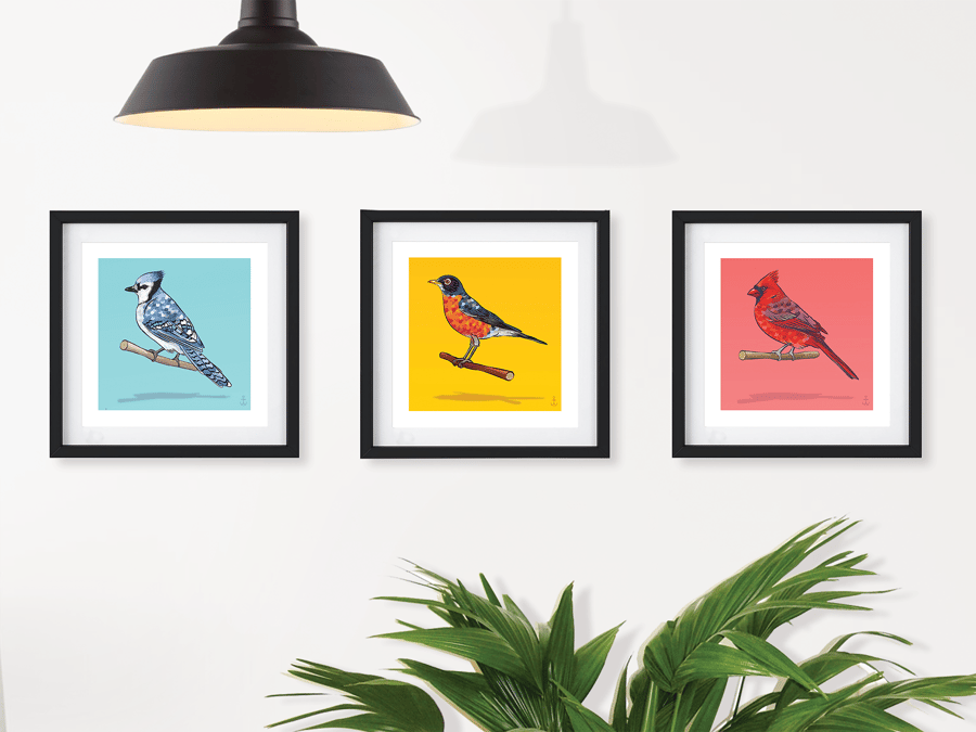 Image of North American Birds (set of three 8x8)