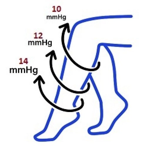 Image of CNA Fashion Compression Sock