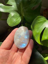 Image 3 of Moonstone Palm Crystal (6)