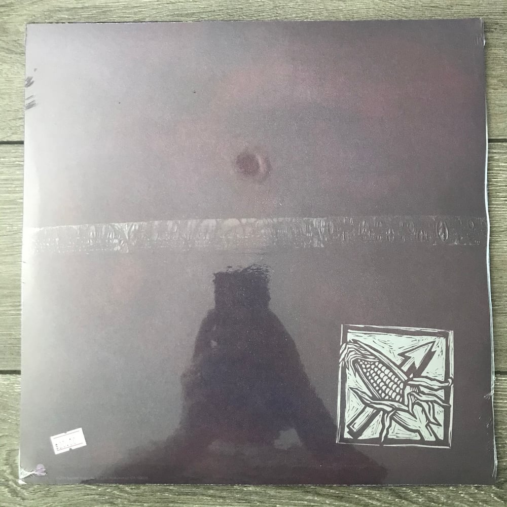 Image of Bad Religion - Against The Grain Vinyl LP