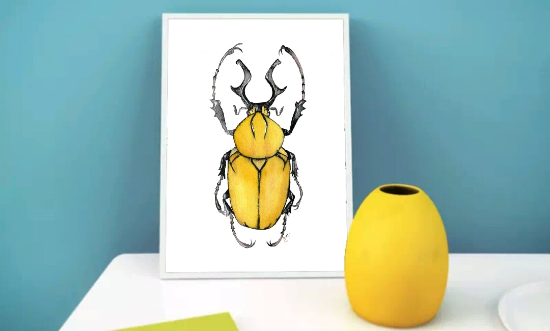 Image of Beetle watercolor print | Insect art print | Entomology | Bugs wall decor | taxidermy | insect art 