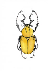 Image 4 of Yellow Beetle Watercolor Illustration PRINT 