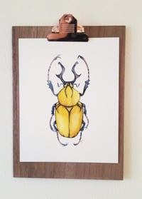 Image 5 of Yellow Beetle Watercolor Illustration PRINT 