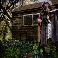 Photographs Volume 4 (Digital Edition)