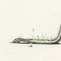 Image 4 of Evening - Print