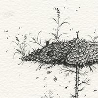 Image 3 of The Welcome - Print