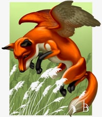 Flying Fox in Fields 