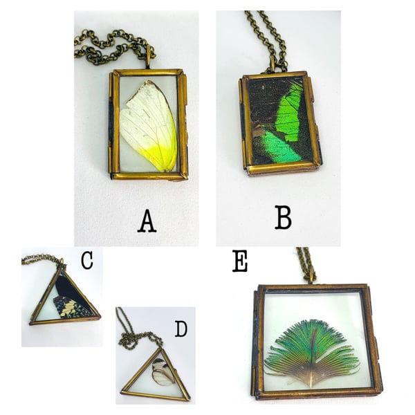 Image of Butterfly Wing Lockets 