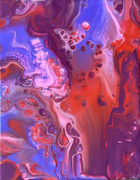 Image 1 of Jellyfish
