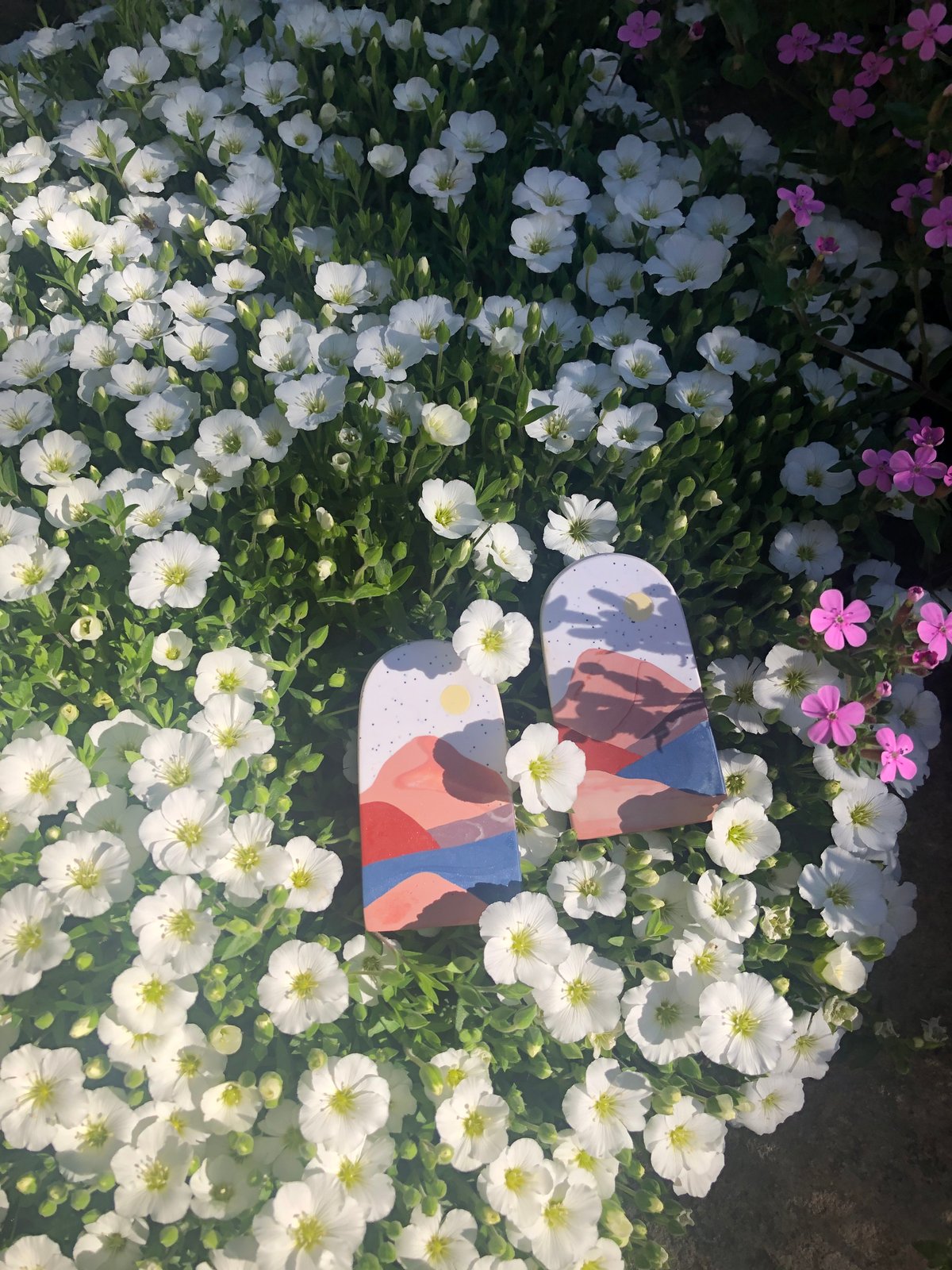 Image of Idaho Earrings