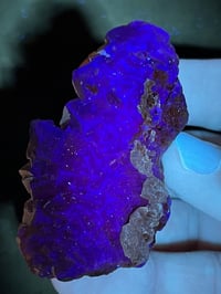 Image 10 of Pakistan Black Rose Fluorite UV Specimen #2507