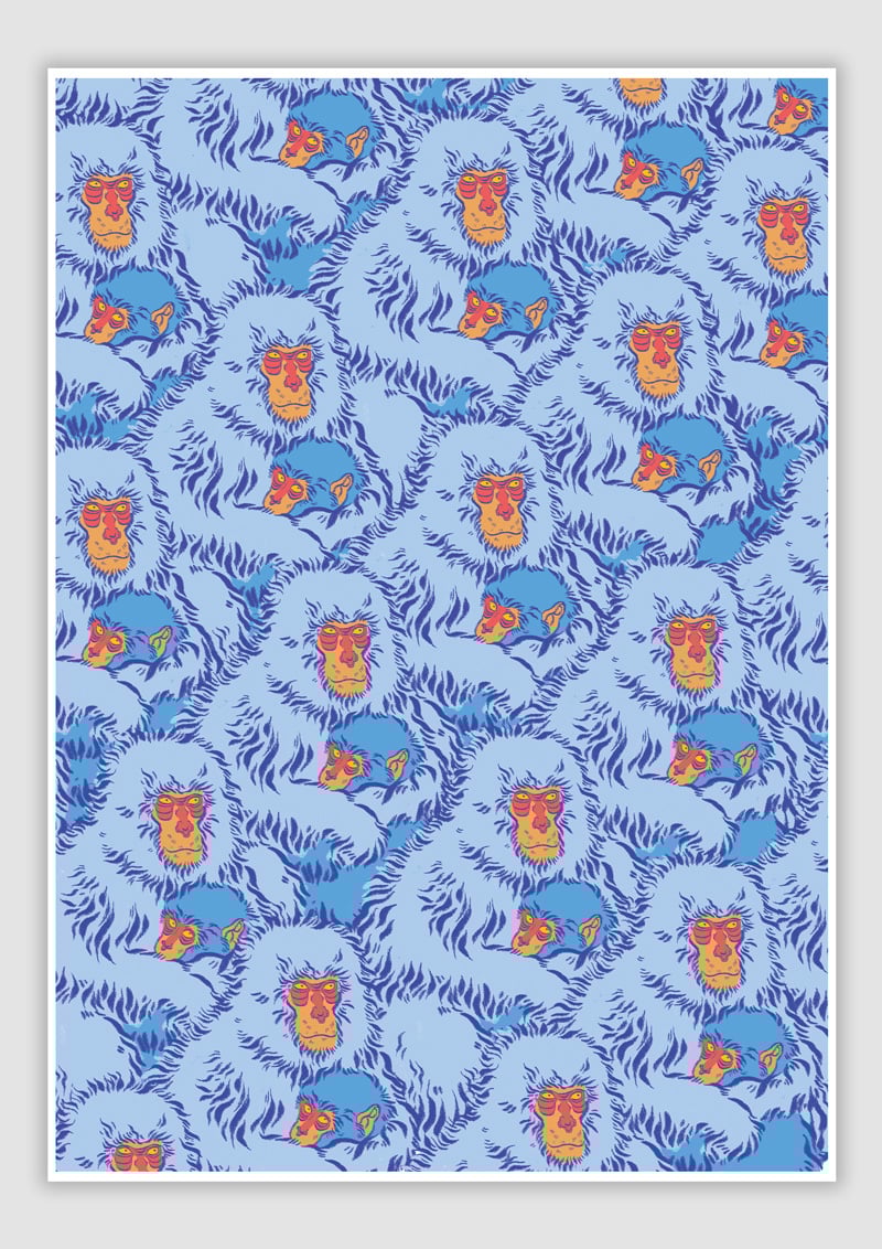 Snow Monkeys Ying Wang