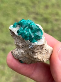 Image 1 of Dioptase Specimen | Congo #3011