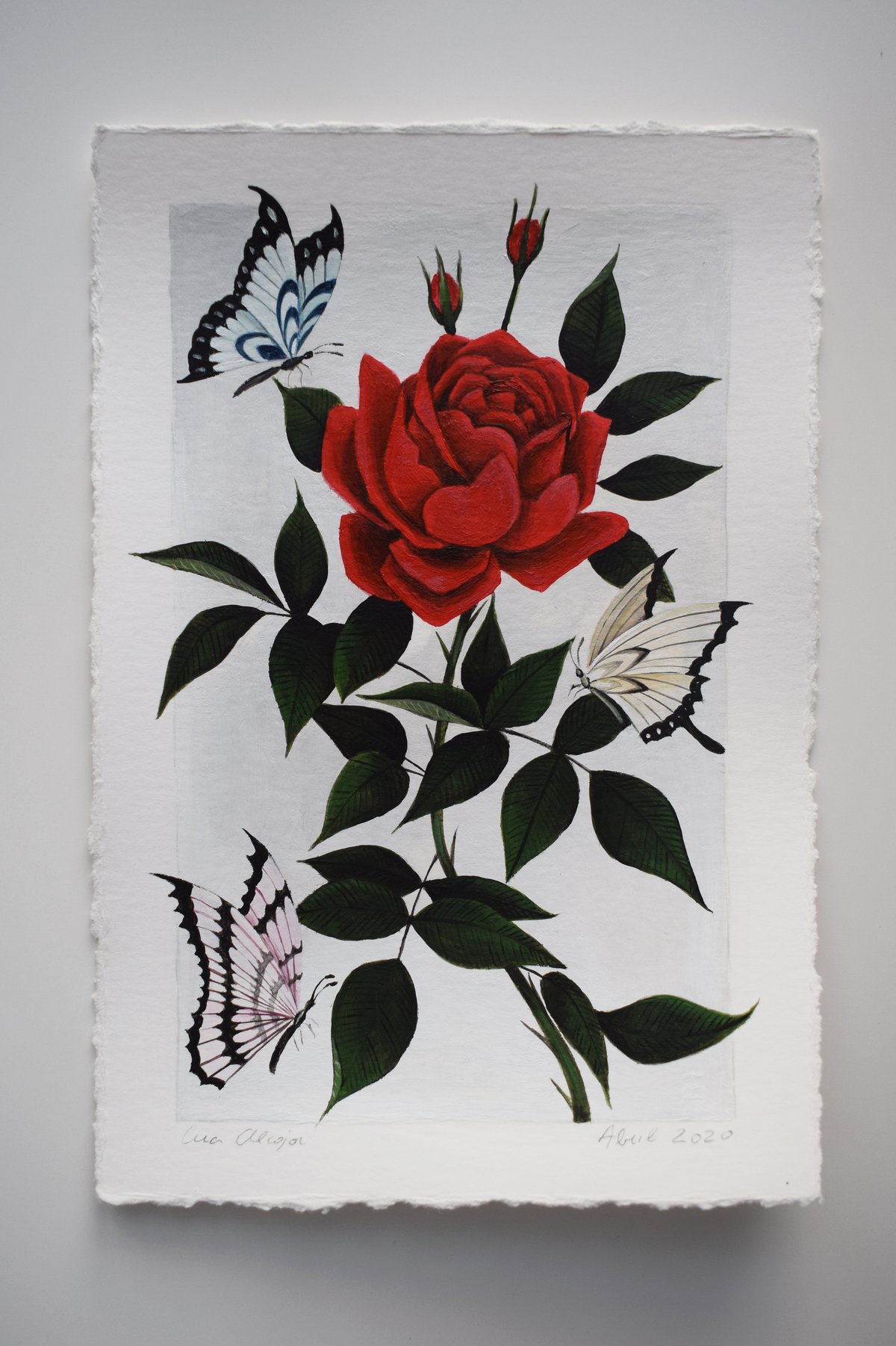 Image of Rose and Butterflies (Acrylic)