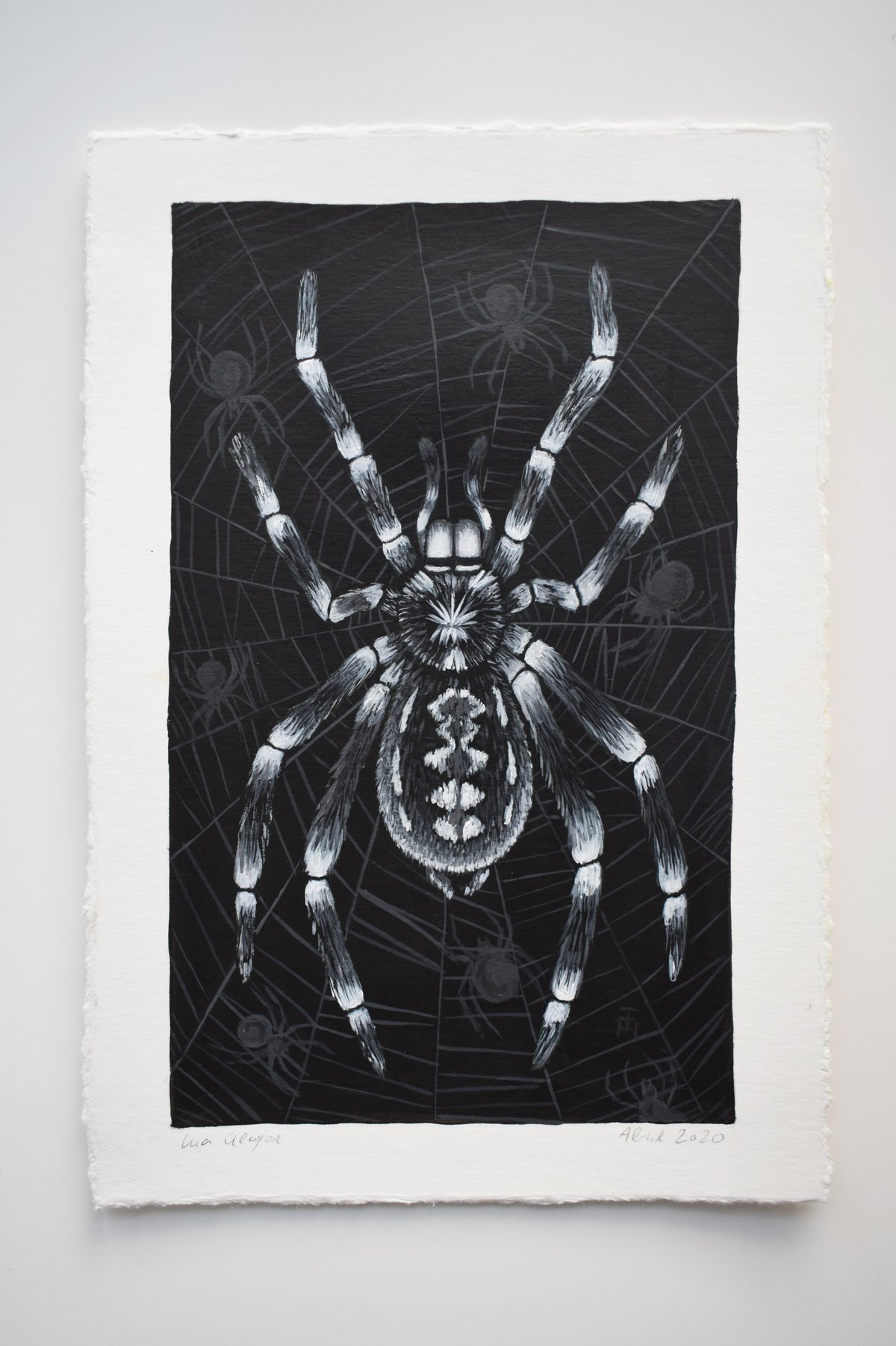 Image of Tarantula and spiders (Acrylic)