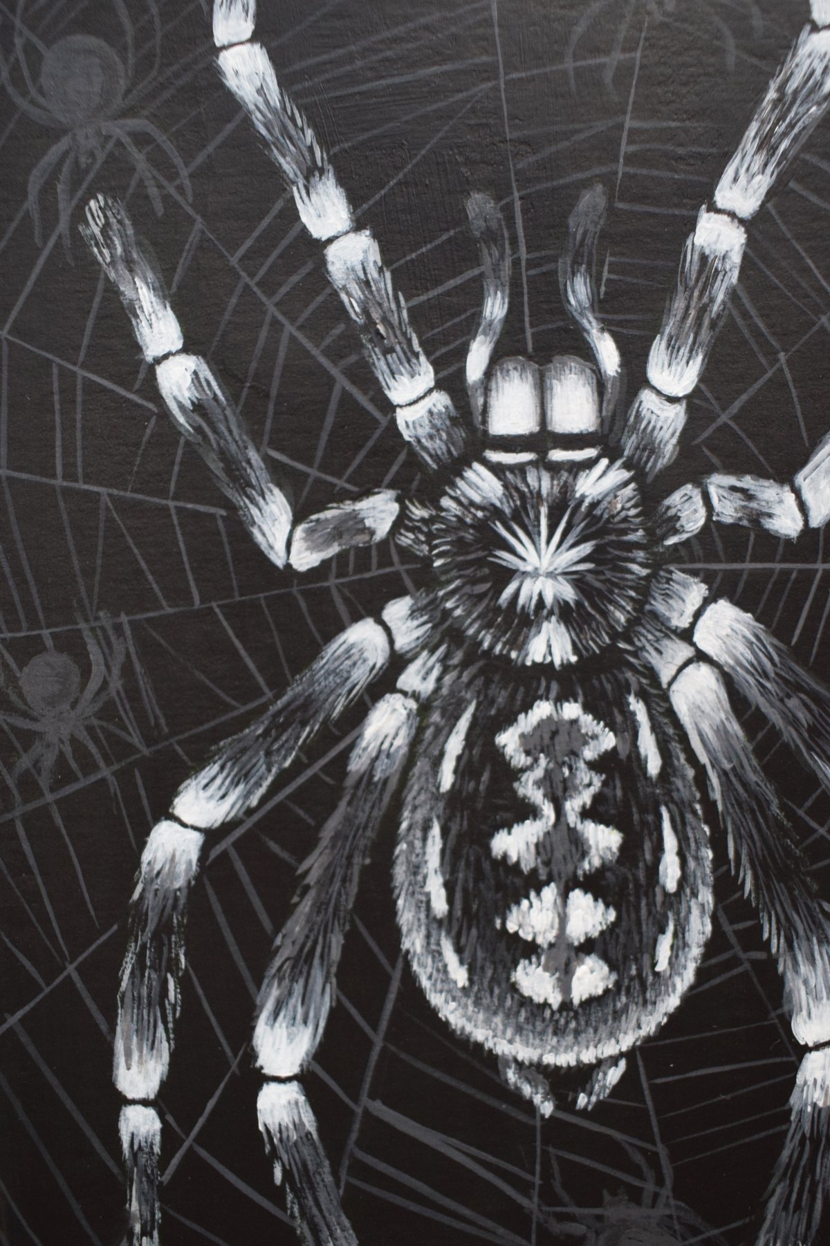 Image of Tarantula and spiders (Acrylic)