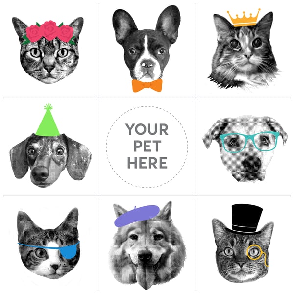 Image of Custom Pet Art - Pet Portrait - Custom Pet Greeting Cards